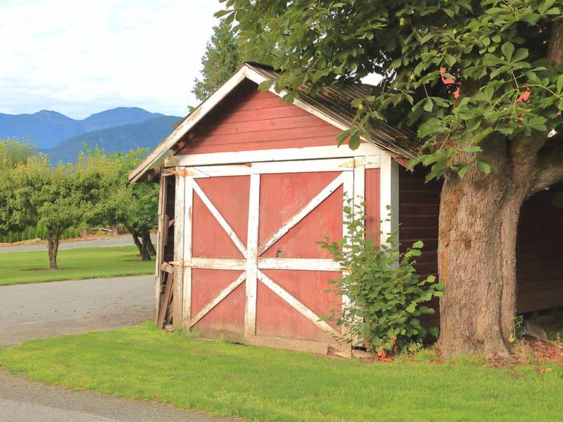 Shed Demolition